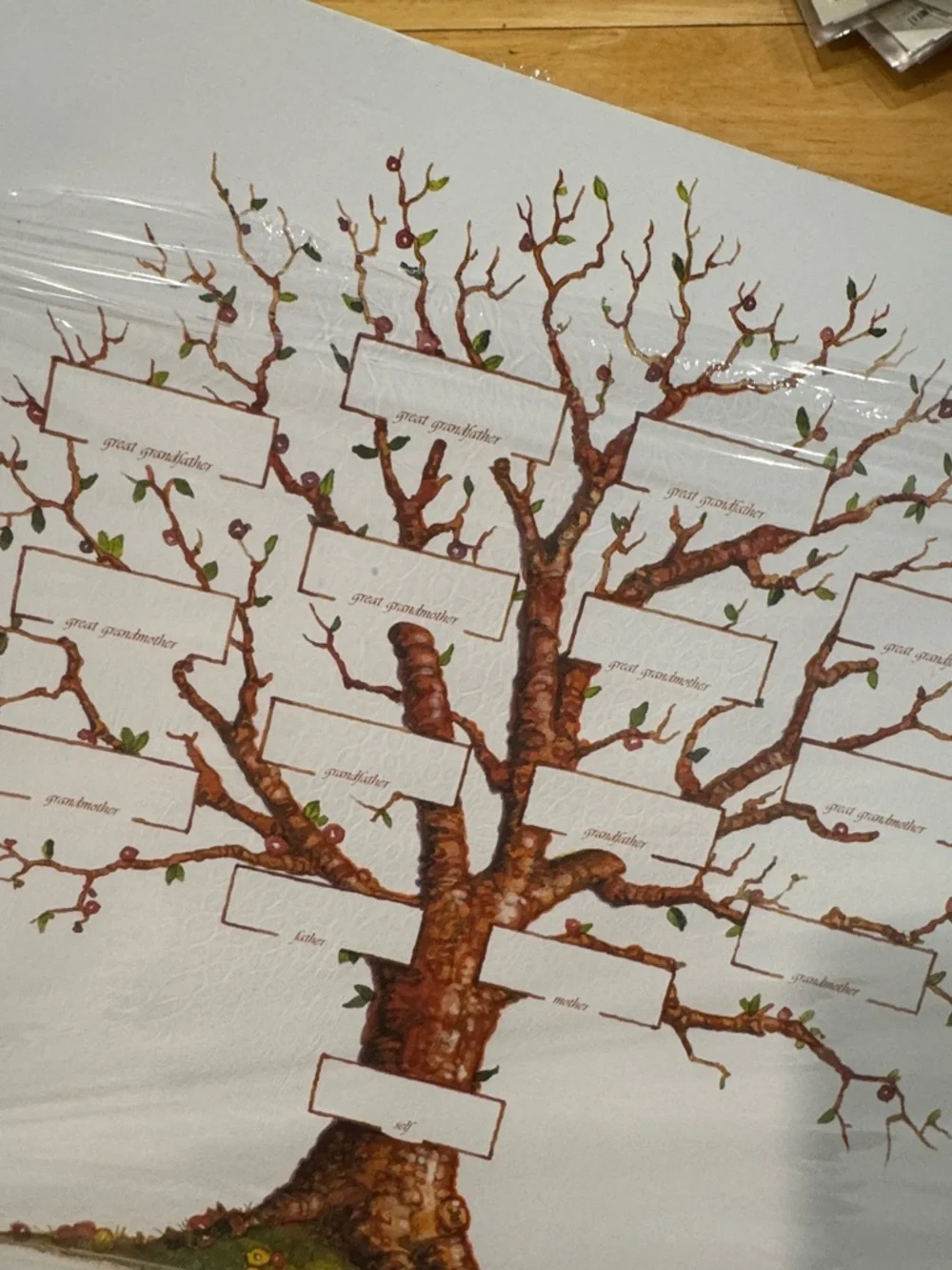 Lot of 2 Creative‎ Memories Family Chart Tree Black White 10 Refill Pages 12x12